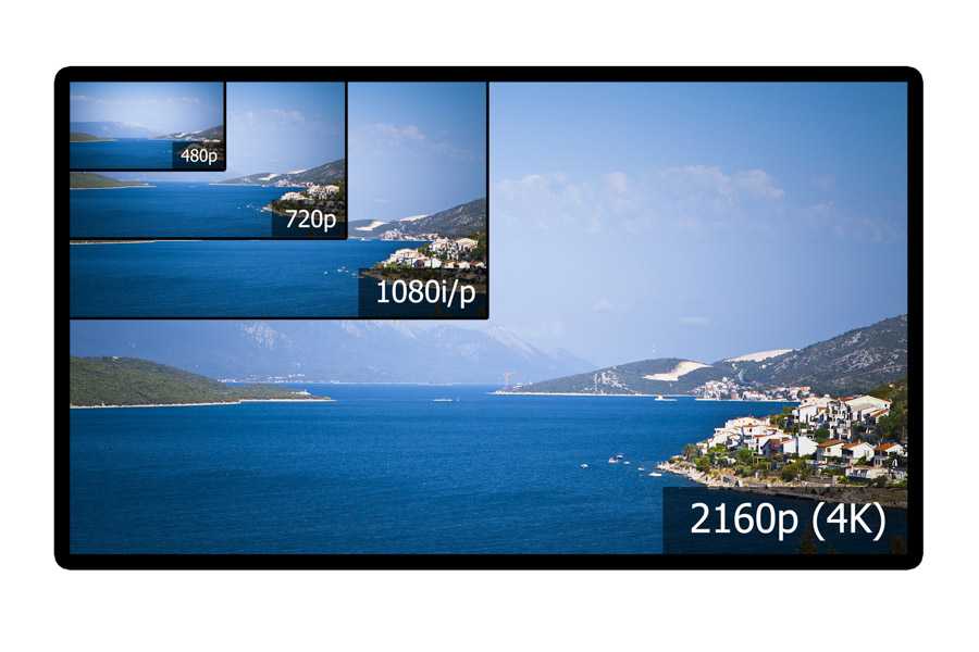 Trends and Forecast 2016