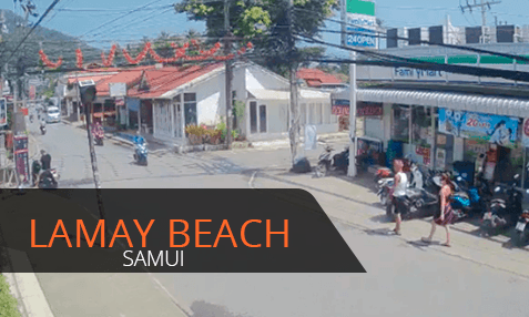 Live cam in Thailand