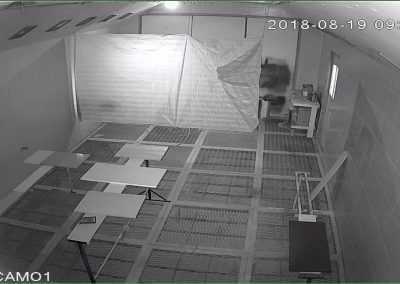 cctv in thailand, vsaas thailand