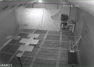 cctv in thailand, vsaas thailand